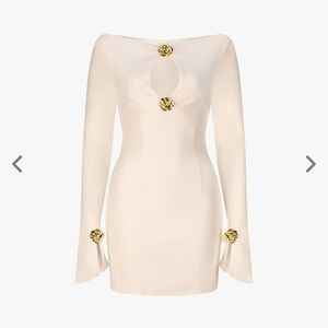 AtoirJoni Dress Size 10 Nwt